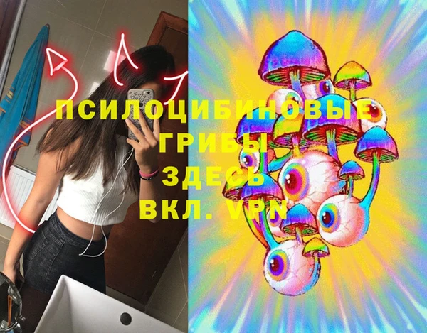 шишки Бугульма